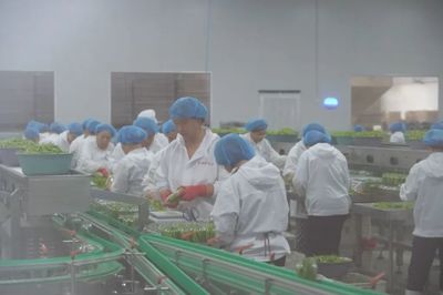 數(shù)字經(jīng)濟(jì)浪潮下的食品互聯(lián)網(wǎng)銷售 中國人民大學(xué)應(yīng)用經(jīng)濟(jì)學(xué)院的學(xué)術(shù)洞察與實踐路徑